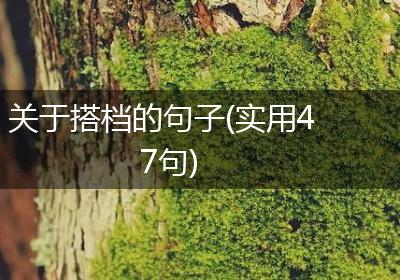 关于搭档的句子(实用47句)