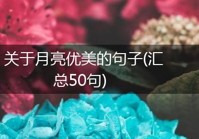 关于月亮优美的句子(汇总50句)