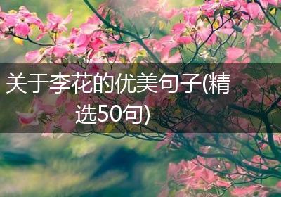 关于李花的优美句子(精选50句)