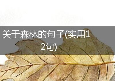 关于森林的句子(实用12句)