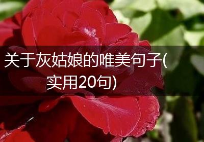 关于灰姑娘的唯美句子(实用20句)