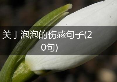 关于泡泡的伤感句子(20句)