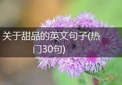 关于甜品的英文句子(热门30句)