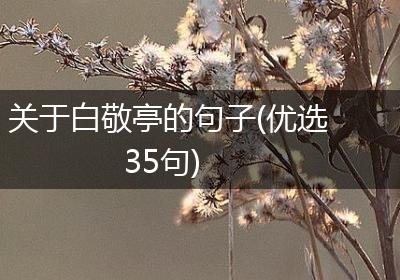 关于白敬亭的句子(优选35句)