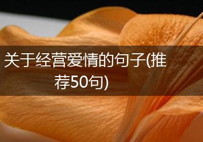 关于经营爱情的句子(推荐50句)