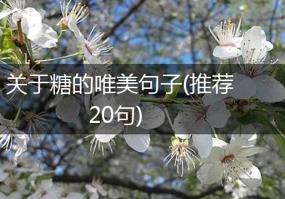 关于糖的唯美句子(推荐20句)