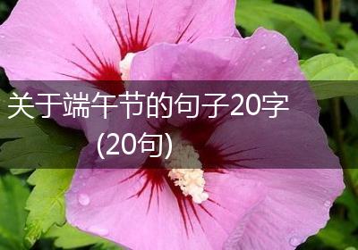 关于端午节的句子20字(20句)