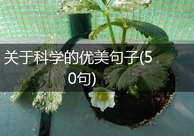 关于科学的优美句子(50句)