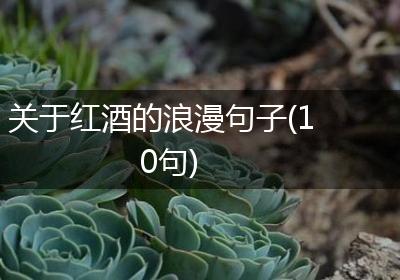 关于红酒的浪漫句子(10句)