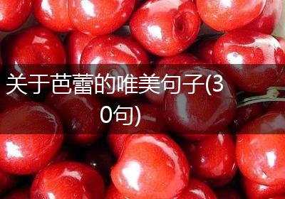 关于芭蕾的唯美句子(30句)