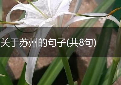 关于苏州的句子(共8句)