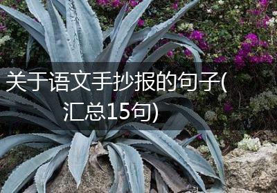 关于语文手抄报的句子(汇总15句)