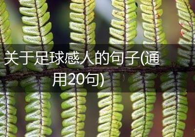 关于足球感人的句子(通用20句)