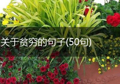 关于贫穷的句子(50句)