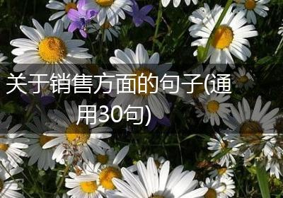 关于销售方面的句子(通用30句)