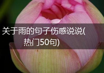 关于雨的句子伤感说说(热门50句)
