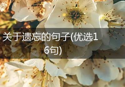 关于遗忘的句子(优选16句)