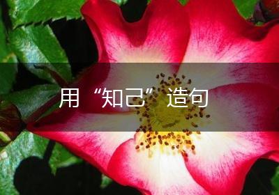 用“知己”造句