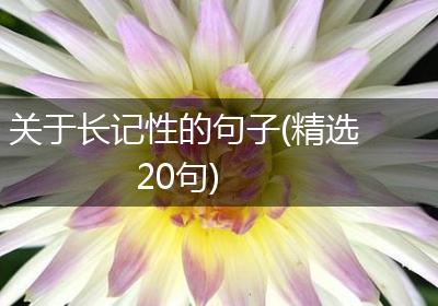关于长记性的句子(精选20句)