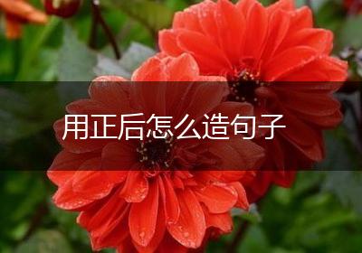 用正后怎么造句子