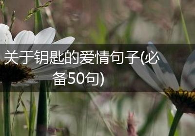 关于钥匙的爱情句子(必备50句)