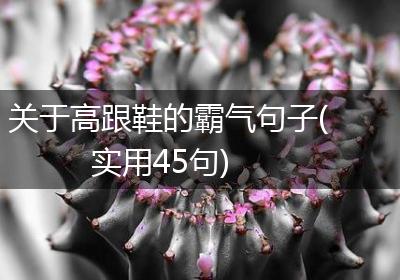 关于高跟鞋的霸气句子(实用45句)