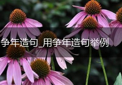 争年造句_用争年造句举例