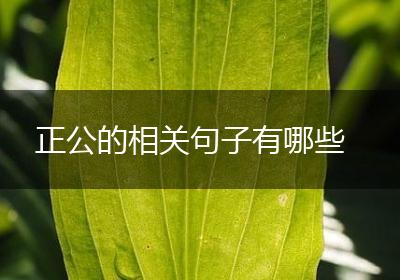 正公的相关句子有哪些