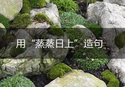 用“蒸蒸日上”造句