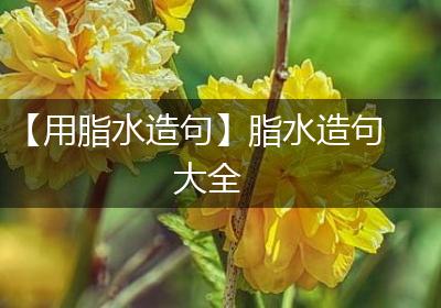 【用脂水造句】脂水造句大全