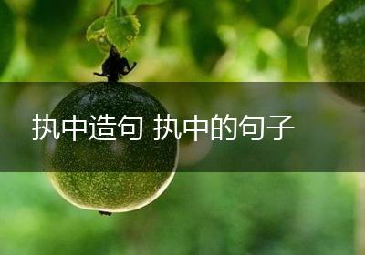 执中造句 执中的句子