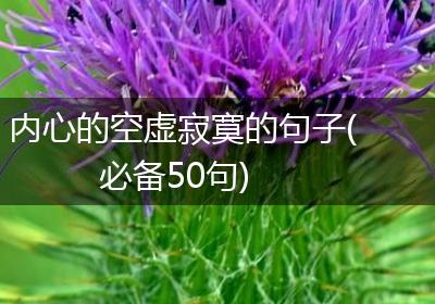 内心的空虚寂寞的句子(必备50句)