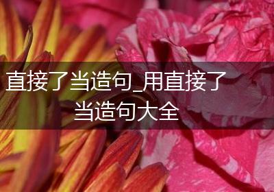 直接了当造句_用直接了当造句大全