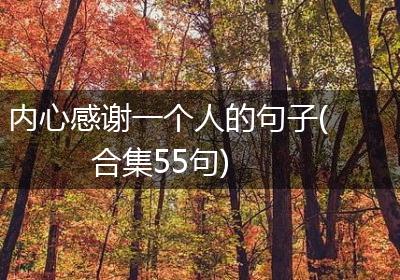 内心感谢一个人的句子(合集55句)