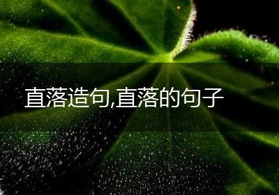 直落造句,直落的句子