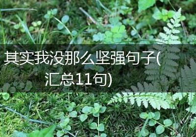 其实我没那么坚强句子(汇总11句)