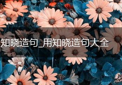 知晓造句_用知晓造句大全