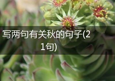 写两句有关秋的句子(21句)