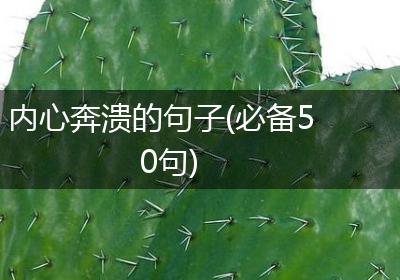 内心奔溃的句子(必备50句)