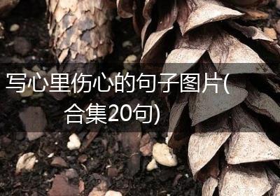 写心里伤心的句子图片(合集20句)
