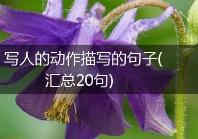写人的动作描写的句子(汇总20句)