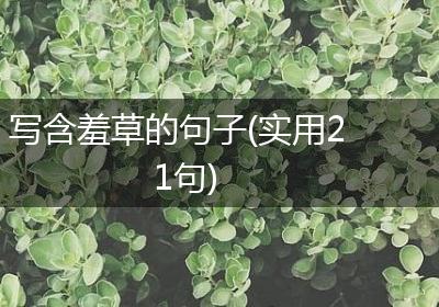 写含羞草的句子(实用21句)