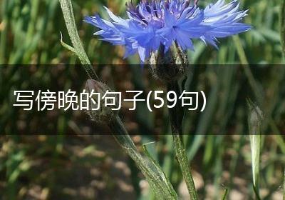 写傍晚的句子(59句)
