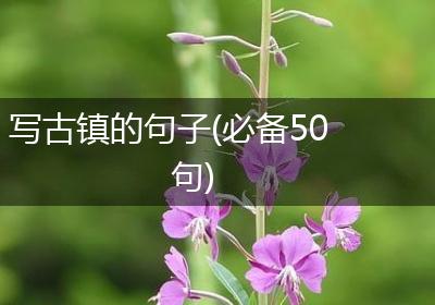 写古镇的句子(必备50句)