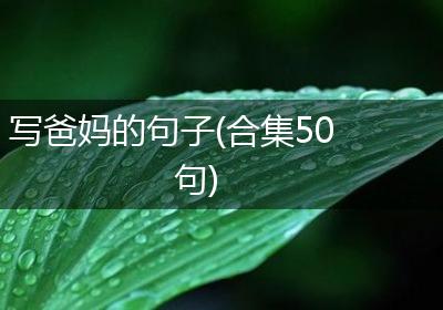 写爸妈的句子(合集50句)
