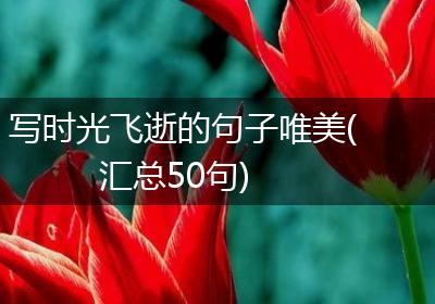 写时光飞逝的句子唯美(汇总50句)