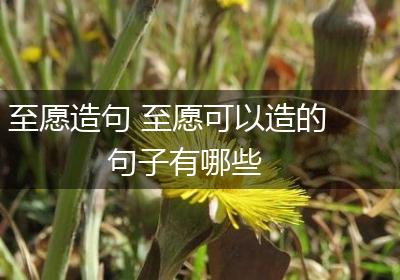 至愿造句 至愿可以造的句子有哪些