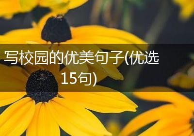 写校园的优美句子(优选15句)
