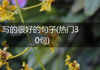写的很好的句子(热门30句)