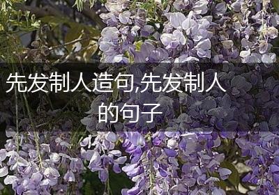 先发制人造句,先发制人的句子